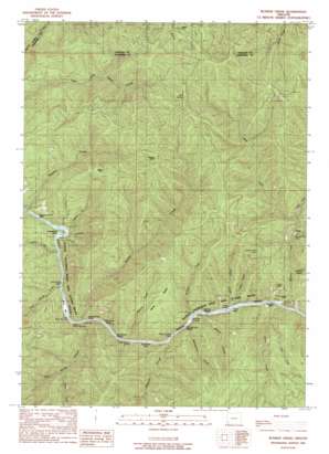 Bunker Creek topo map