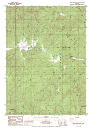 Cedar Springs Mountain USGS topographic map 42123g1