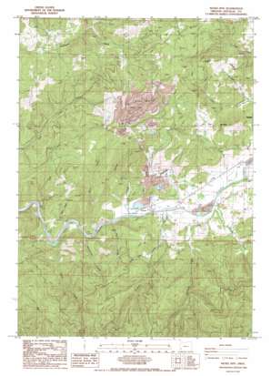 Nickel Mountain USGS topographic map 42123h4