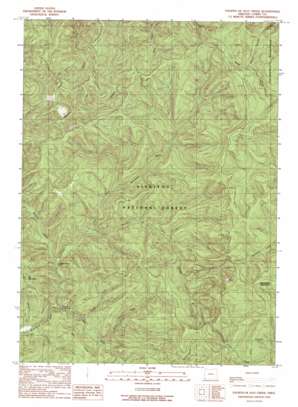 Fourth Of July Creek topo map