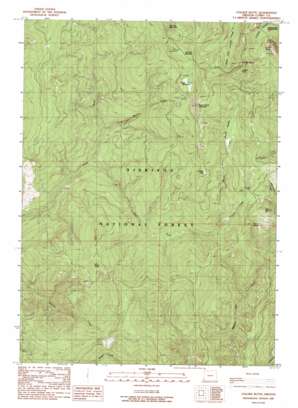 Collier Butte topo map