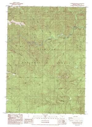Father Mountain topo map