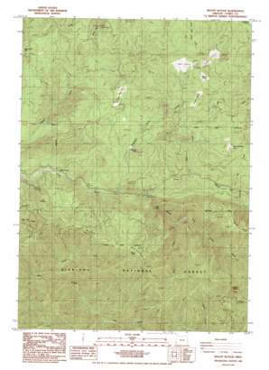Mount Butler topo map
