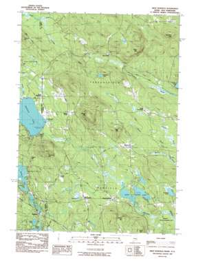 West Newfield topo map