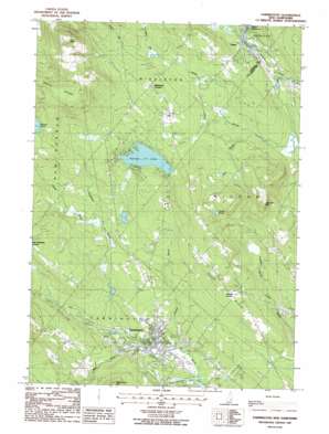 Farmington topo map