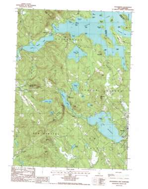 Holderness topo map