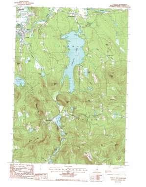 Conway USGS topographic map 43071h1