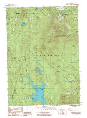 Stratton Mountain USGS topographic map 43072a8