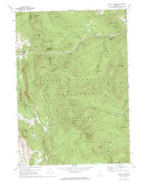 Mount Carmel USGS topographic map 43072g8