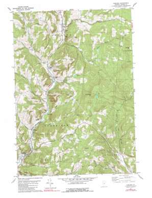 Chelsea USGS topographic map 43072h4
