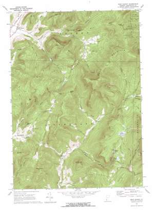 West Rupert USGS topographic map 43073b2