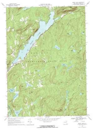 Brant Lake topo map