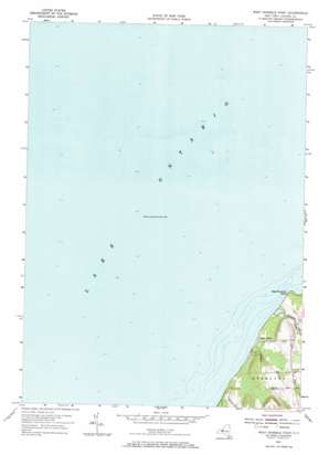 West Ninemile Point topo map