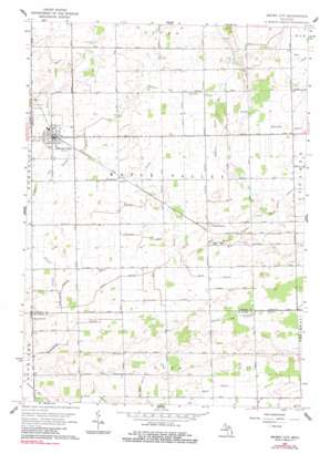 Brown City USGS topographic map 43082b8