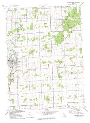 Chesaning East topo map
