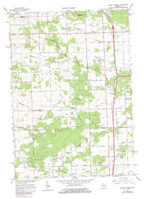 Mount Forest topo map