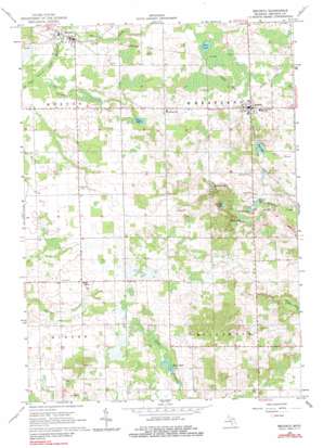 Mecosta USGS topographic map 43085e2