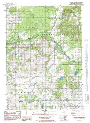 Dayton Center USGS topographic map 43085e8
