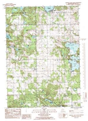 Chippewa Lake South USGS topographic map 43085f3