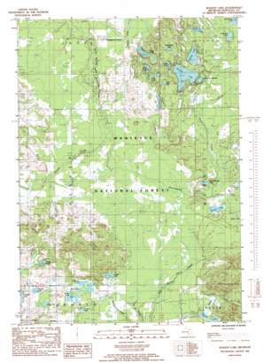 Walkup Lake USGS topographic map 43085f8