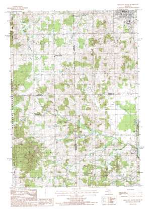 Reed City South topo map