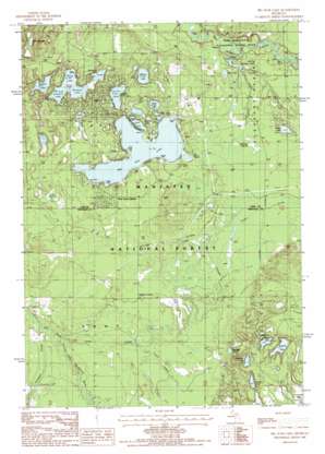 Big Star Lake USGS topographic map 43085g8