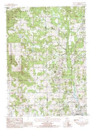 Reed City North topo map