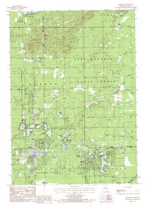 Baldwin USGS topographic map 43085h7