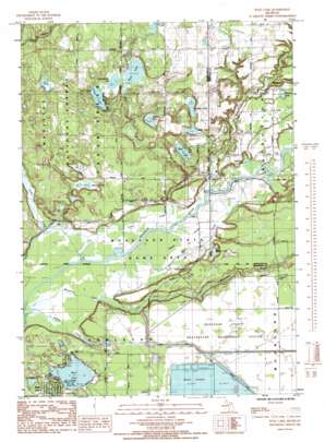 Wolf Lake USGS topographic map 43086c1