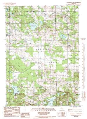 Walkerville East USGS topographic map 43086f1