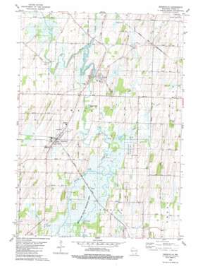 Reeseville USGS topographic map 43088c7