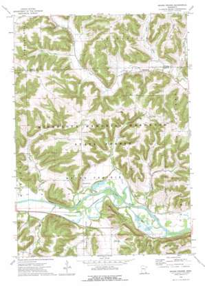 Mound Prairie topo map