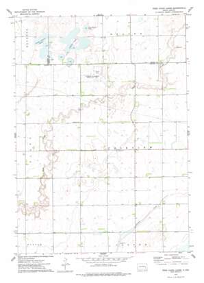 Ness Chain Lakes USGS topographic map 43097g7