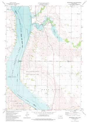Bedashosha Lake USGS topographic map 43099h3