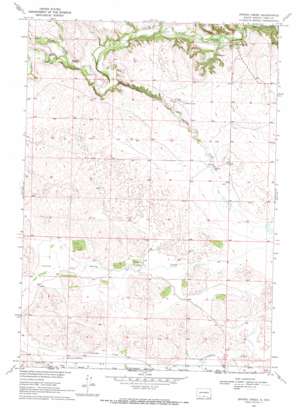 Spring Creek USGS topographic map 43101a1