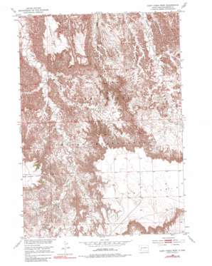 Cuny Table West topo map