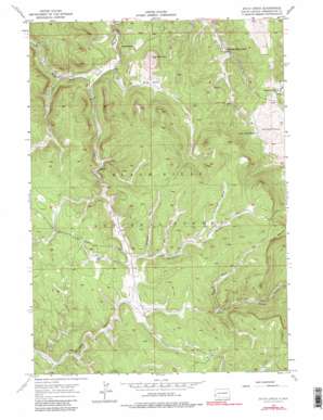 Ditch Creek topo map