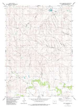 Boggy Reservoir USGS topographic map 43104c5
