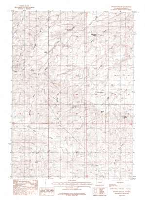 Holdup Hollow USGS topographic map 43105a6