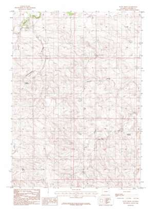 Patsy Draw USGS topographic map 43105b4
