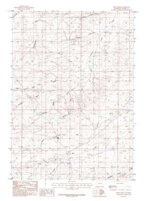 Bear Creek USGS topographic map 43105c6