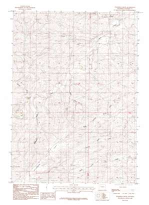Thompson Draw USGS topographic map 43105c7