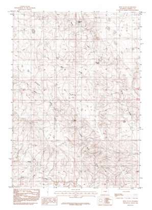 Reno Flats USGS topographic map 43105e5
