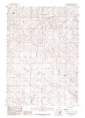 Rattlesnake Draw USGS topographic map 43105f5