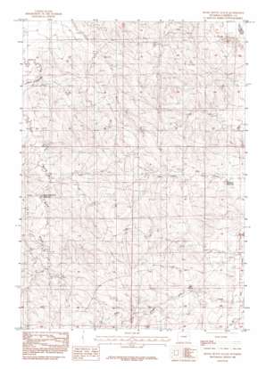 Rocky Butte Gulch USGS topographic map 43105g5