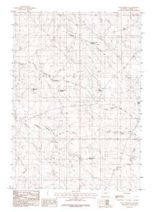 Wags Pinnacle USGS topographic map 43105h7