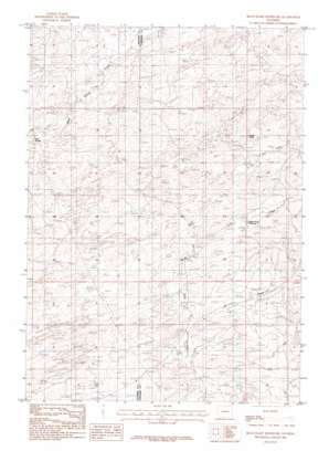Arminto USGS topographic map 43106a1