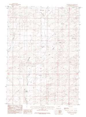 McKenzie Flat USGS topographic map 43106a2