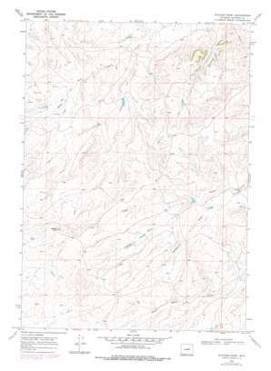 Statzer Point USGS topographic map 43106b4