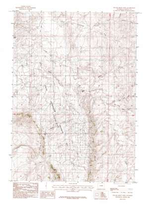 Gillam Draw West USGS topographic map 43106c2